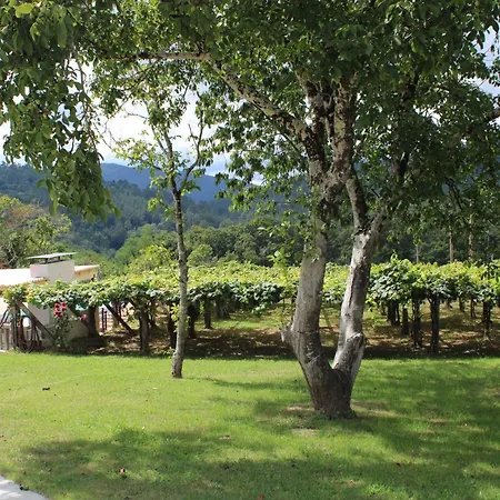 A De Jose Luis * Reis