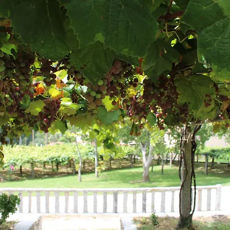 Semesterbostad A De Jose Luis Reis