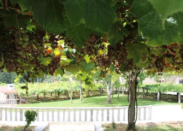 別荘 A De Jose Luis Reis